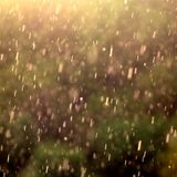 Mix_1204