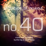 Prototype of Nu-Soul 40