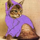 Cat Chunes - August 2014