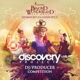 Discovery Project: Beyond Wonderland Bay Area 2014