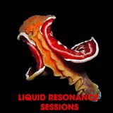 Liquid Resonance Sessions 13 - Key of E Minor - Pt 1
