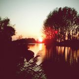 The Sun Is A Witness