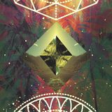 PLANT MEDICINE MIX BY DJ EL INDIO