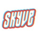 Studio Brussel Playground - SKYVE - summer 2013 #1