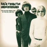 The Sixties Rebellion in the 80s and 90s Vol. 3