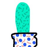 Cacti + Succulents