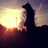 25 Tracks: A dubstep chronology