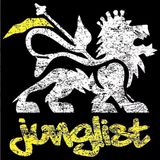 "It's a Junglist Ting" Ragga Jungle & Junglist Mix (Oct.2013)