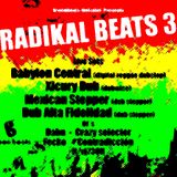 Dj Contradiction at Radikal Beats 3