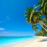 2015 Hawaii Birthday Mix for Lisa Wright