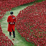 Stephen T's Sunday Soul Soup Show ~ 9th November 2014 'Remembrance Sunday Special'