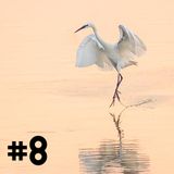 #8 Leck-mich-am-Arsch-wo-ist-der-Sommer Juni MIX 2013