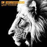 Hakunamatata - French Yearmix 2012