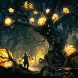 mr. Forest Cook