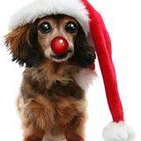SPACE DOGS RADiO #miXtape 016 - 12 DAYS OF CHRiSTMAS