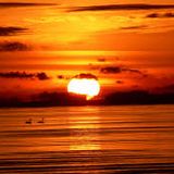 Chill mix