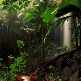 EXOTICA