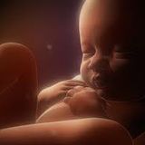 Células madre y su importancia para la salud de nuestros hijos.