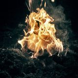 Midnight Action - Lamar's Heat