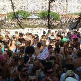 SUMMER LIVE7 PT1