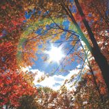 Indian Summer Days