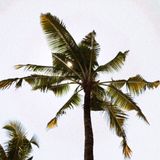 Arun R - Sunset Session (Recorded Live at Woobar, W Hong Kong)