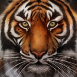 Mix - 26-09-2014