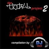 The Tribal Project 2 by eNeX