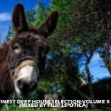 FINEST DEEP HOUSE SELECTION-VOLUME 5 2014 (MIXED BY FILIP LIPOTICA)