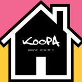 House Mini-Mix 2