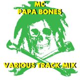 Hella Raw Ragga-Junglist Warm-UP Track Mix - MC Papa Bones aka MC Bones 119 Sound