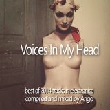 Voices In My Head