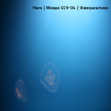 Harre - Mixtape 029-04 - Waterparachutes