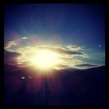 Martin F. ... touch of sun ...