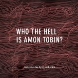 Who the Hell is Amon Tobin? (Perfect Amon Tobin) (Exclusive for AmonTobin.com)