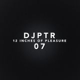 DJPTR - 12 Inches of Pleasure 07