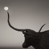 SuperFullMoon.Taurus.2015