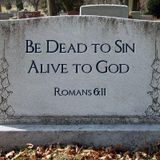 Sin, You Are Dead To Me!