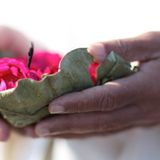 Arising In Roses (blended by RadiOm Aloha)