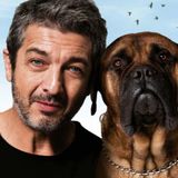 BANCAME LA PARADA #1 - Buscando a Ricardo Darín