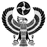 Asian Hawk(Disablists)_Half Asian_Half Amazing