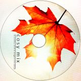 cosy mix - mixed by andre engert