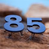 Soft Oblongs #85