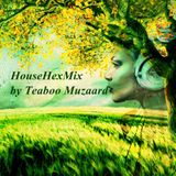 Teaboo Muzaard - HouseHexMix