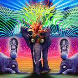 Caroline Banx recorded live @ Elephant Art Cafe/Anjuna/Goa