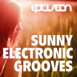 Sunny Electronic Grooves 02
