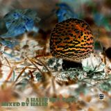 A Halib Mixtape. Side B
