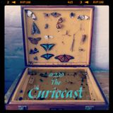 Toadcast #239 - The Curiocast