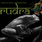 feeling like a frog - Progressive Trance
