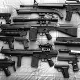Firearm Safety with Fred